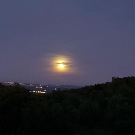 Olive Tree Cottage - Quinta de Evoramonte Estremoz Esterno foto