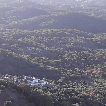 Olive Tree Cottage - Quinta de Evoramonte Estremoz Esterno foto