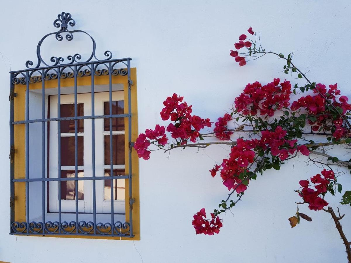 Olive Tree Cottage - Quinta de Evoramonte Estremoz Esterno foto