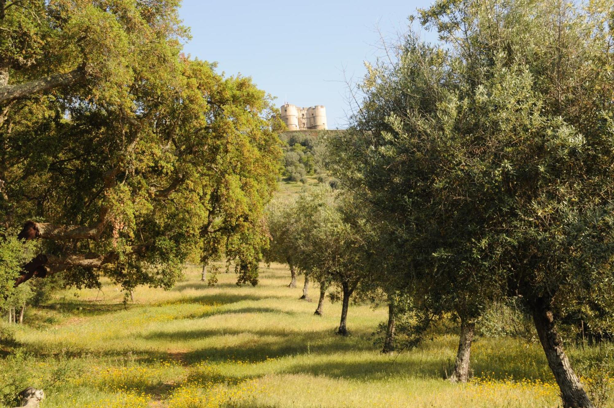 Olive Tree Cottage - Quinta de Evoramonte Estremoz Esterno foto